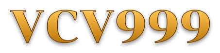 bdvcv999.com Logo